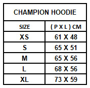 size chart hoodie champion